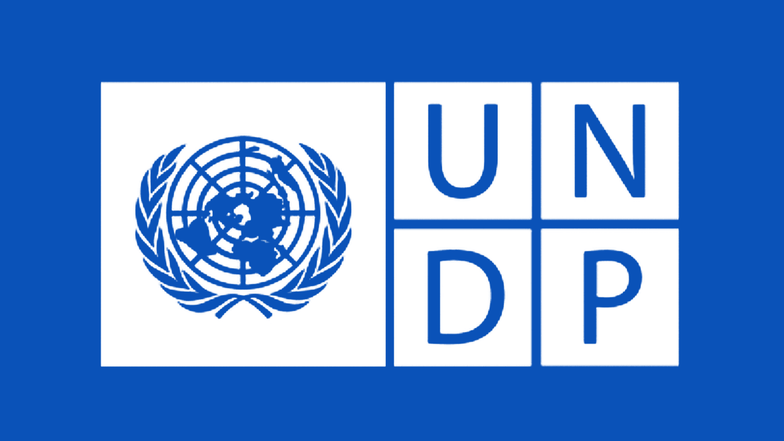 UNDP