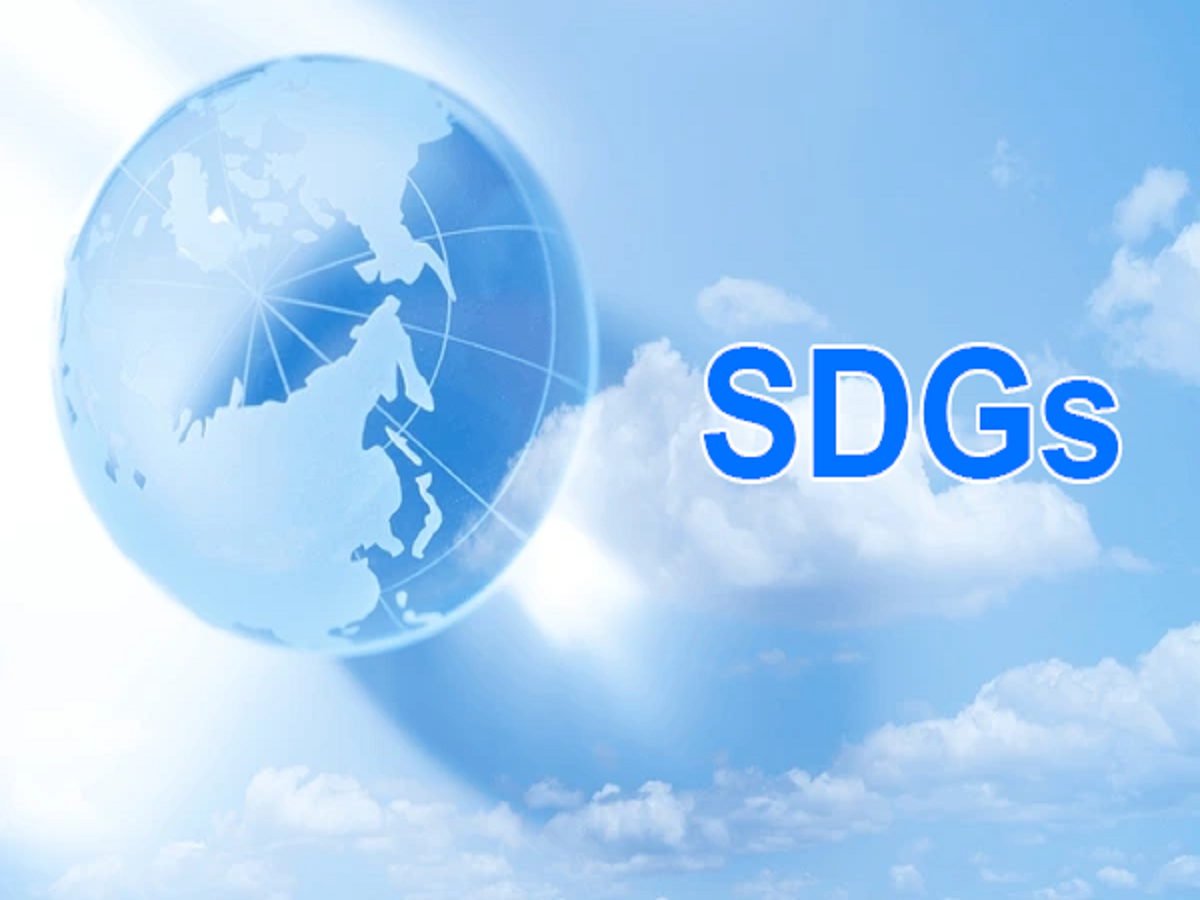 SDGs Consulting Image